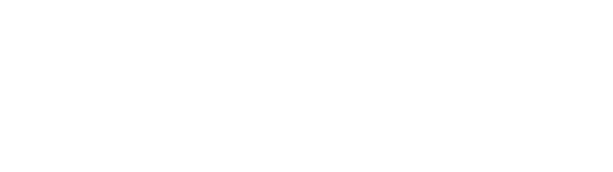 Bizcope-Logo