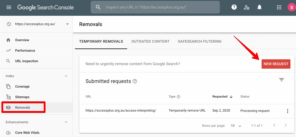 URL Removals through Google Search Console